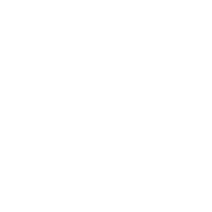 ICONS__SCREWDRIVER
