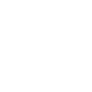 ICONS__SOCKET